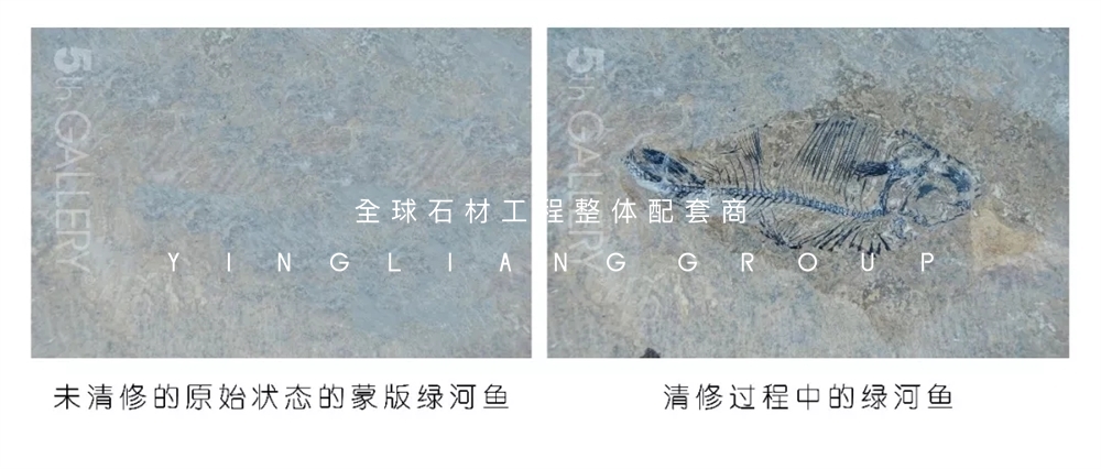 640.webp